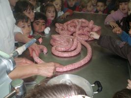 Los de infantil visitan la carnicer&iacute;a