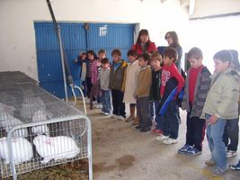 EXcursi&oacute;n a la granja-escuela de Movera