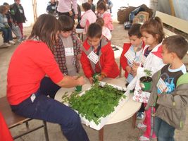 LOS ALUMNOS DE INFANTIL VISITAN LA GRANJA ESCUELA DE MOVERA