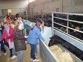 EXCURSI&Oacute;N DE 1&ordm; Y 2&ordm; A "LA PARDINA"