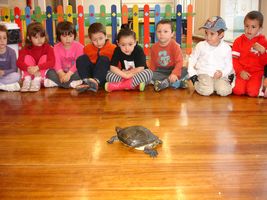 EXCURSI&Oacute;N A LA ALFRANCA